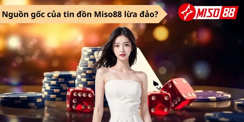 Nguồn gốc của tin đồn Miso88 lừa đảo?