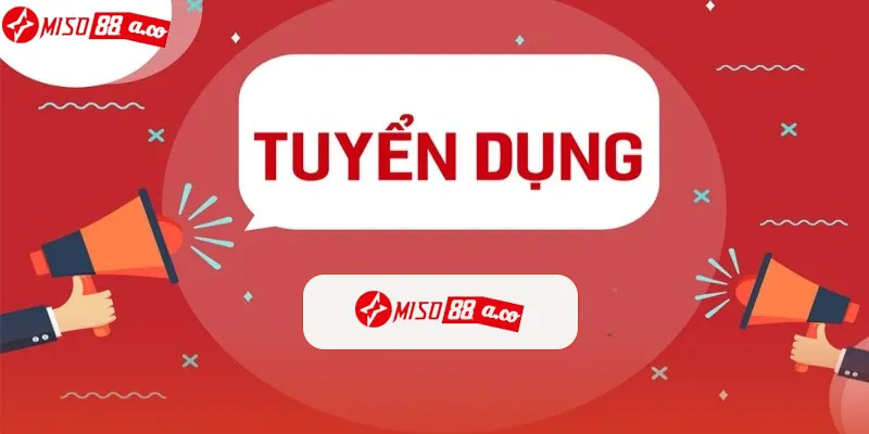 Lưu ý khi tham gia tuyển dụng Miso88